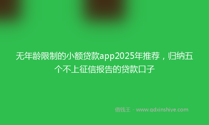 无年龄限制的小额贷款app2025年推荐，归纳五个不上征信报告的贷款口子