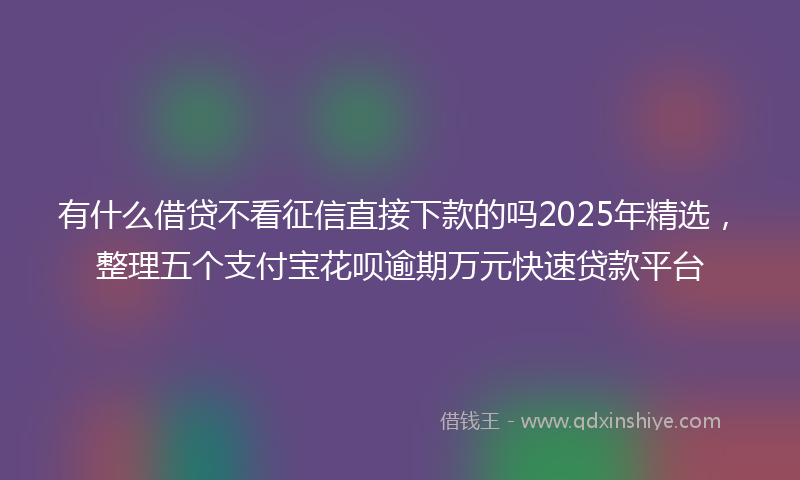 有什么借贷不看征信直接下款的吗2025年精选，整理五个支付宝花呗逾期万元快速贷款平台