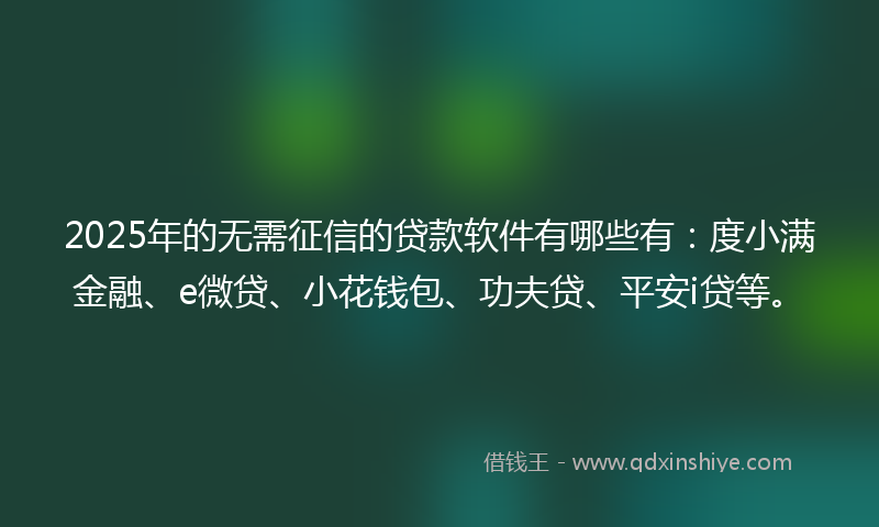 2025年的无需征信的贷款软件有哪些有：度小满金融、e微贷、小花钱包、功夫贷、平安i贷等。