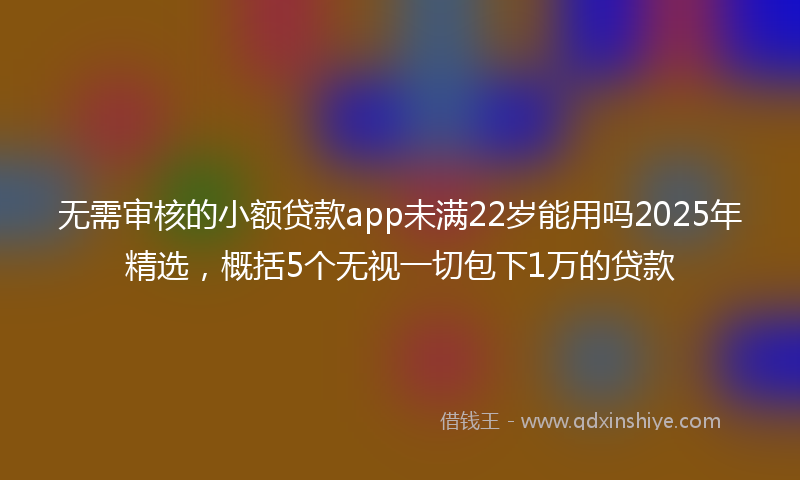 无需审核的小额贷款app未满22岁能用吗2025年精选，概括5个无视一切包下1万的贷款
