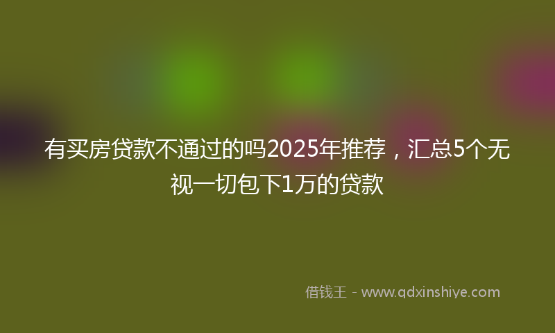 有买房贷款不通过的吗2025年推荐，汇总5个无视一切包下1万的贷款