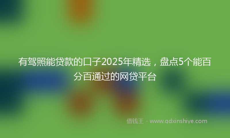 有驾照能贷款的口子2025年精选，盘点5个能百分百通过的网贷平台