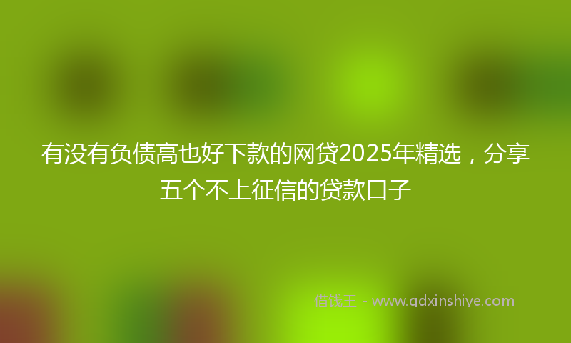 有没有负债高也好下款的网贷2025年精选，分享五个不上征信的贷款口子