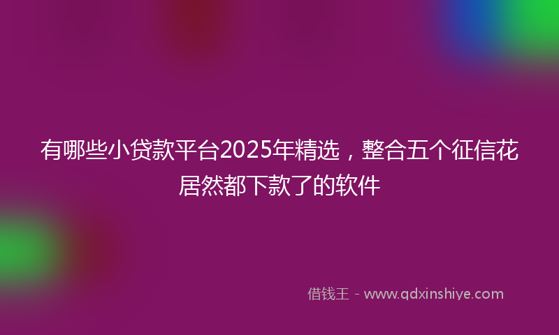 有哪些小贷款平台2025年精选，整合五个征信花居然都下款了的软件