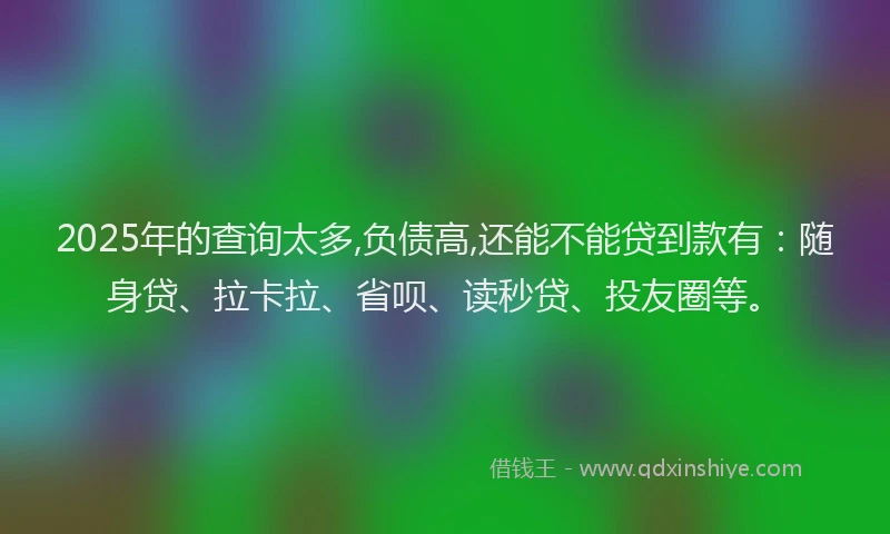 2025年的查询太多,负债高,还能不能贷到款有：随身贷、拉卡拉、省呗、读秒贷、投友圈等。