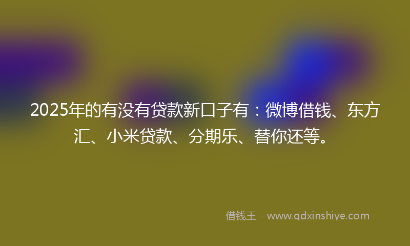 2025年的有没有贷款新口子有：微博借钱、东方汇、小米贷款、分期乐、替你还等。