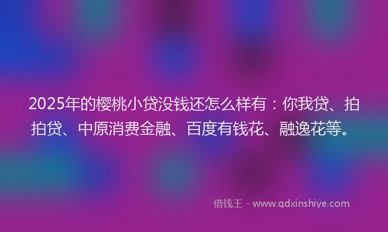 2025年的樱桃小贷没钱还怎么样有：你我贷、拍拍贷、中原消费金融、百度有钱花、融逸花等。