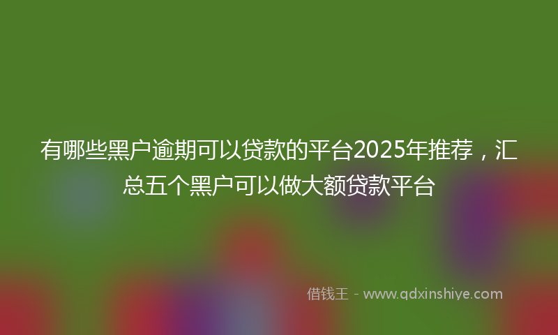 有哪些黑户逾期可以贷款的平台2025年推荐，汇总五个黑户可以做大额贷款平台