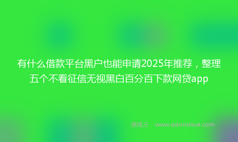 有什么借款平台黑户也能申请2025年推荐，整理五个不看征信无视黑白百分百下款网贷app