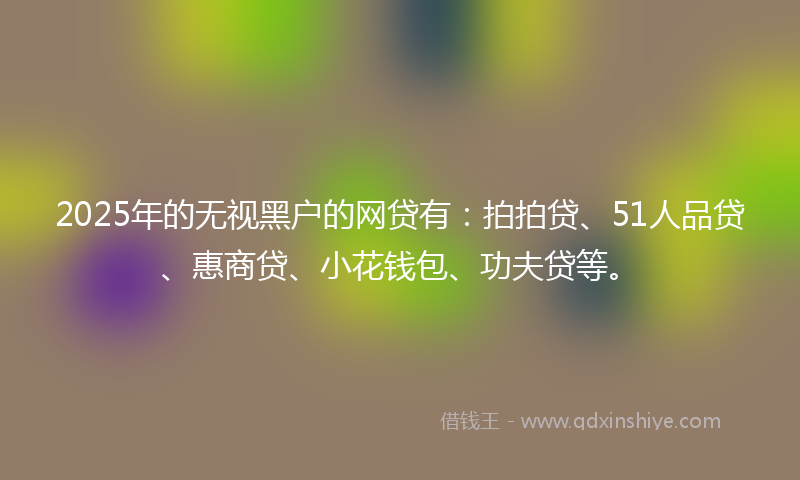 2025年的无视黑户的网贷有：拍拍贷、51人品贷、惠商贷、小花钱包、功夫贷等。