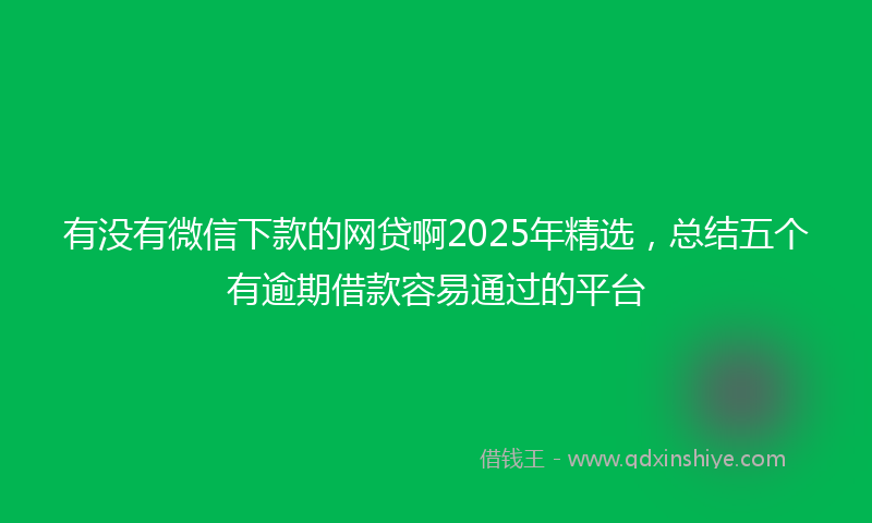 有没有微信下款的网贷啊2025年精选，总结五个有逾期借款容易通过的平台
