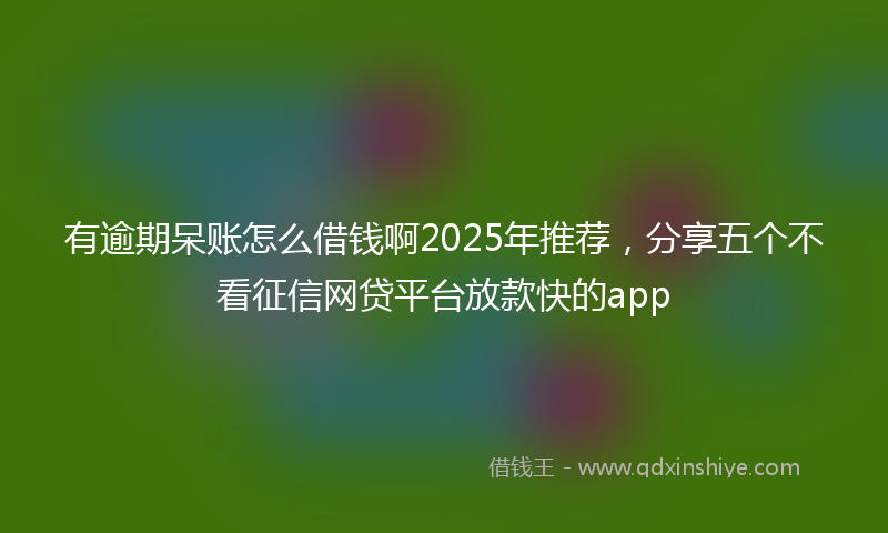 有逾期呆账怎么借钱啊2025年推荐，分享五个不看征信网贷平台放款快的app