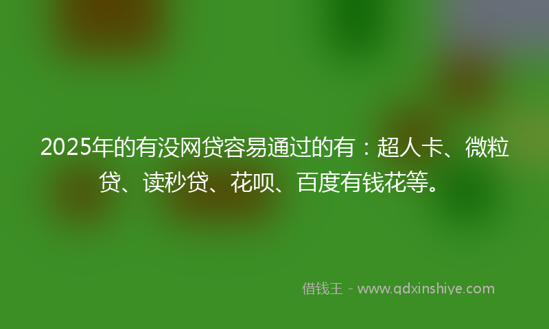 2025年的有没网贷容易通过的有：超人卡、微粒贷、读秒贷、花呗、百度有钱花等。