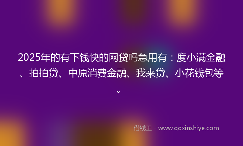 2025年的有下钱快的网贷吗急用有：度小满金融、拍拍贷、中原消费金融、我来贷、小花钱包等。