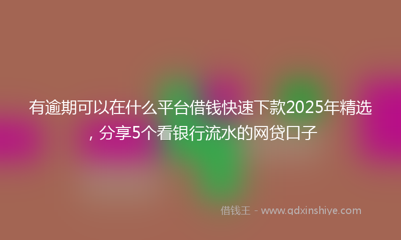 有逾期可以在什么平台借钱快速下款2025年精选，分享5个看银行流水的网贷口子