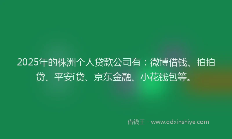 2025年的株洲个人贷款公司有：微博借钱、拍拍贷、平安i贷、京东金融、小花钱包等。