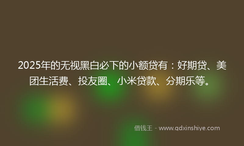 2025年的无视黑白必下的小额贷有：好期贷、美团生活费、投友圈、小米贷款、分期乐等。