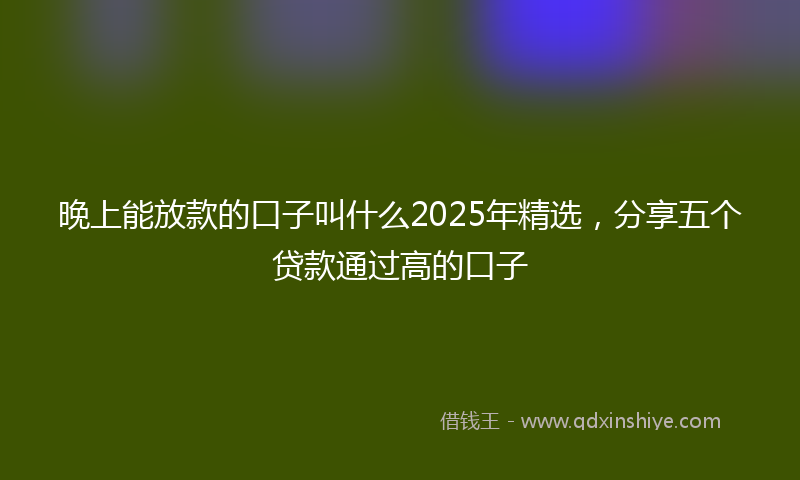 晚上能放款的口子叫什么2025年精选，分享五个贷款通过高的口子