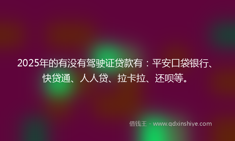 2025年的有没有驾驶证贷款有：平安口袋银行、快贷通、人人贷、拉卡拉、还呗等。