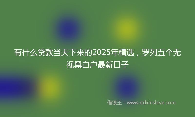 有什么贷款当天下来的2025年精选，罗列五个无视黑白户最新口子