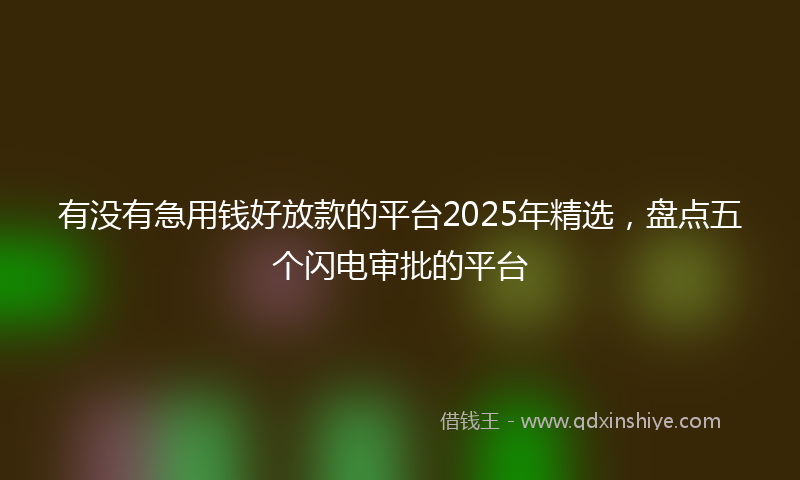 有没有急用钱好放款的平台2025年精选，盘点五个闪电审批的平台