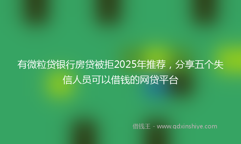 有微粒贷银行房贷被拒2025年推荐，分享五个失信人员可以借钱的网贷平台