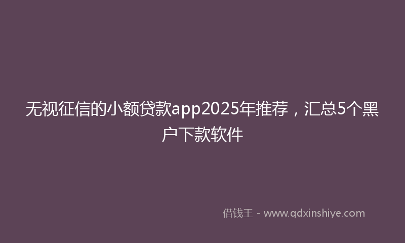 无视征信的小额贷款app2025年推荐，汇总5个黑户下款软件