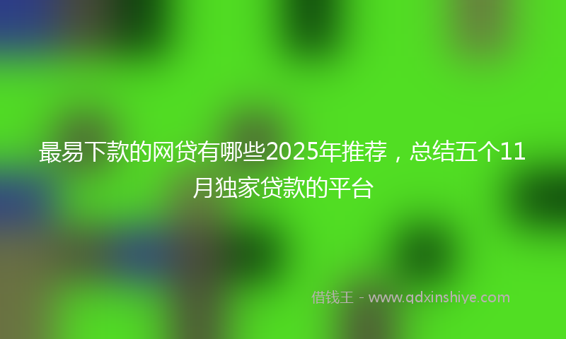 最易下款的网贷有哪些2025年推荐，总结五个11月独家贷款的平台