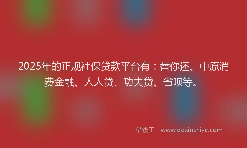 2025年的正规社保贷款平台有：替你还、中原消费金融、人人贷、功夫贷、省呗等。