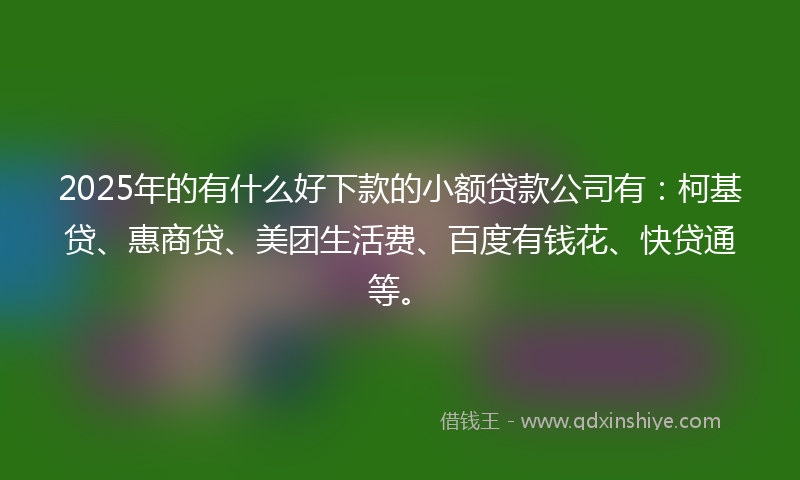 2025年的有什么好下款的小额贷款公司有：柯基贷、惠商贷、美团生活费、百度有钱花、快贷通等。