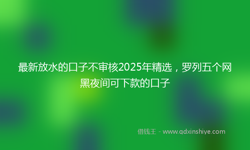 最新放水的口子不审核2025年精选，罗列五个网黑夜间可下款的口子
