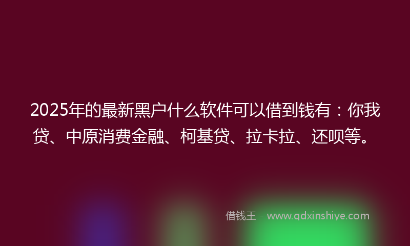 2025年的最新黑户什么软件可以借到钱有：你我贷、中原消费金融、柯基贷、拉卡拉、还呗等。