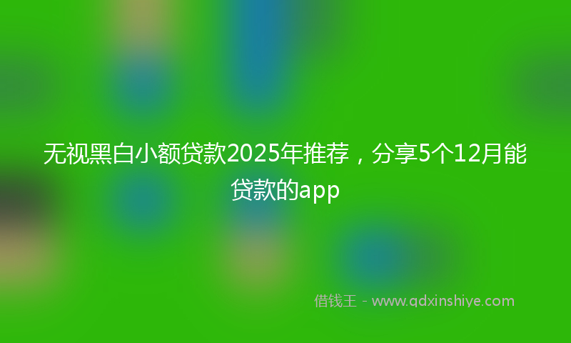 无视黑白小额贷款2025年推荐，分享5个12月能贷款的app