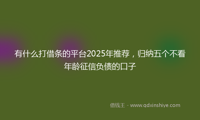 有什么打借条的平台2025年推荐，归纳五个不看年龄征信负债的口子