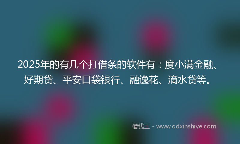 2025年的有几个打借条的软件有：度小满金融、好期贷、平安口袋银行、融逸花、滴水贷等。
