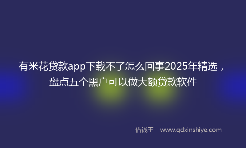有米花贷款app下载不了怎么回事2025年精选，盘点五个黑户可以做大额贷款软件