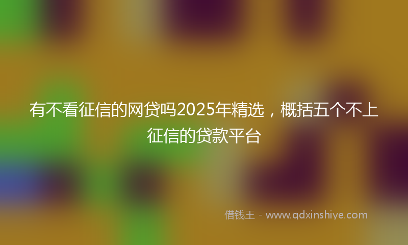 有不看征信的网贷吗2025年精选，概括五个不上征信的贷款平台