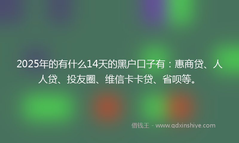 2025年的有什么14天的黑户口子有：惠商贷、人人贷、投友圈、维信卡卡贷、省呗等。
