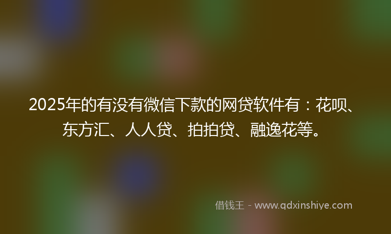 2025年的有没有微信下款的网贷软件有：花呗、东方汇、人人贷、拍拍贷、融逸花等。
