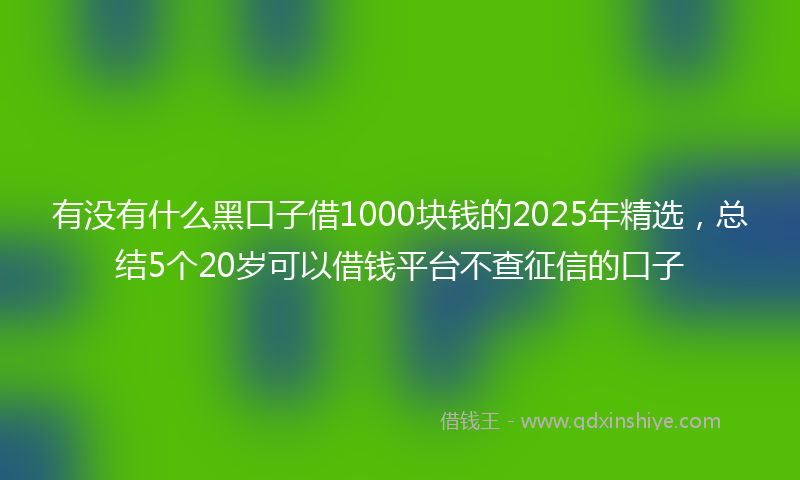 有没有什么黑口子借1000块钱的2025年精选，总结5个20岁可以借钱平台不查征信的口子