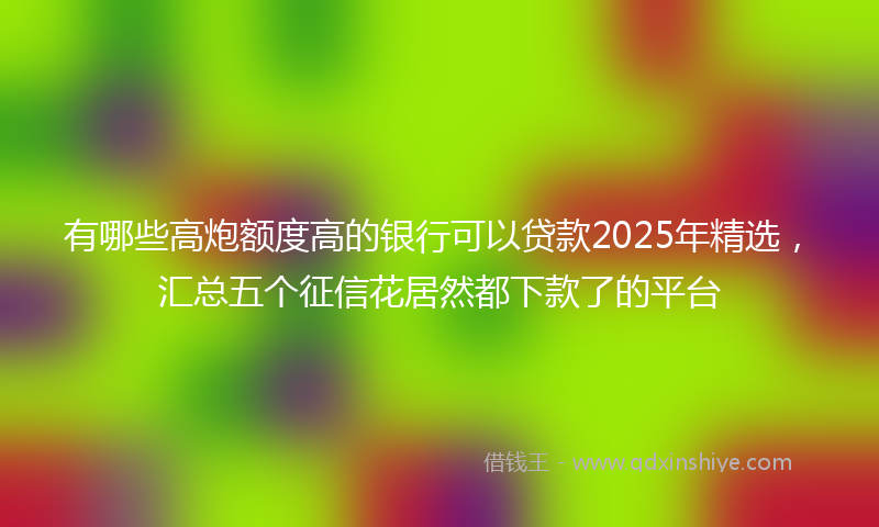 有哪些高炮额度高的银行可以贷款2025年精选，汇总五个征信花居然都下款了的平台