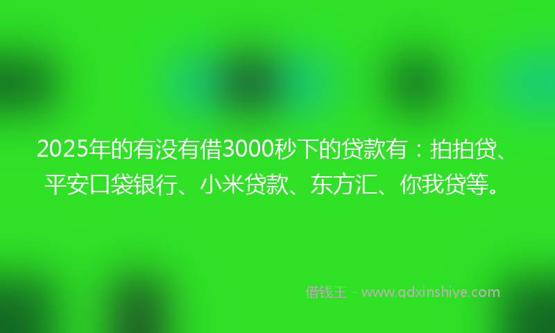 2025年的有没有借3000秒下的贷款有：拍拍贷、平安口袋银行、小米贷款、东方汇、你我贷等。