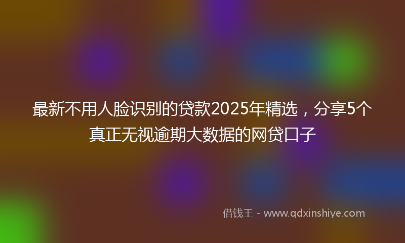 最新不用人脸识别的贷款2025年精选，分享5个真正无视逾期大数据的网贷口子