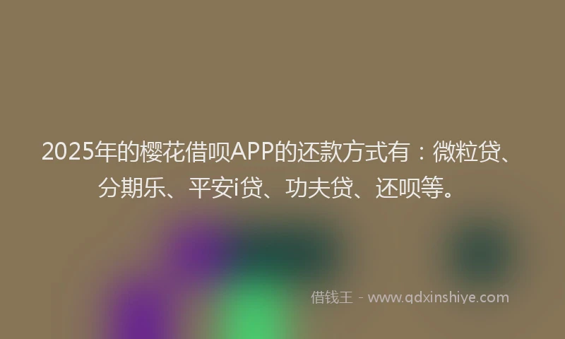 2025年的樱花借呗APP的还款方式有：微粒贷、分期乐、平安i贷、功夫贷、还呗等。
