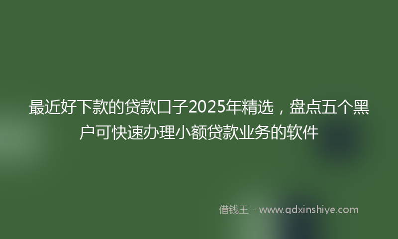 最近好下款的贷款口子2025年精选，盘点五个黑户可快速办理小额贷款业务的软件
