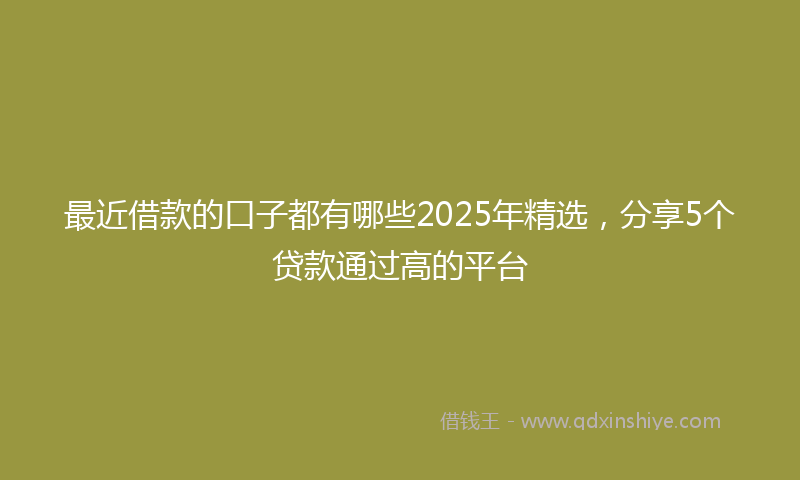最近借款的口子都有哪些2025年精选，分享5个贷款通过高的平台