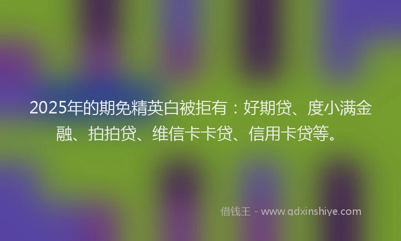2025年的期免精英白被拒有：好期贷、度小满金融、拍拍贷、维信卡卡贷、信用卡贷等。