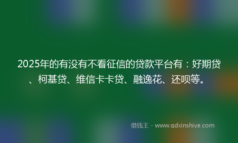 2025年的有没有不看征信的贷款平台有：好期贷、柯基贷、维信卡卡贷、融逸花、还呗等。