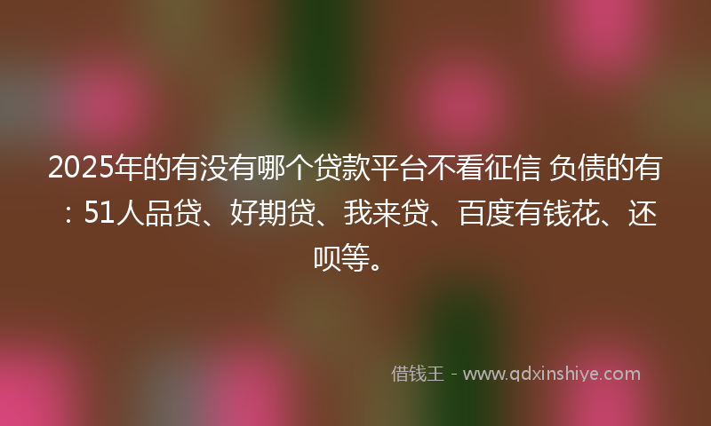 2025年的有没有哪个贷款平台不看征信 负债的有：51人品贷、好期贷、我来贷、百度有钱花、还呗等。