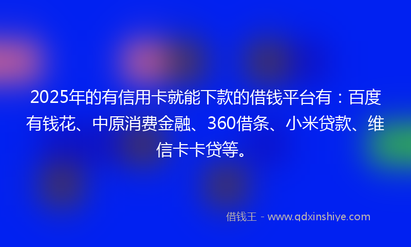 2025年的有信用卡就能下款的借钱平台有：百度有钱花、中原消费金融、360借条、小米贷款、维信卡卡贷等。